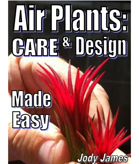 AIRPLANTS EBOOK