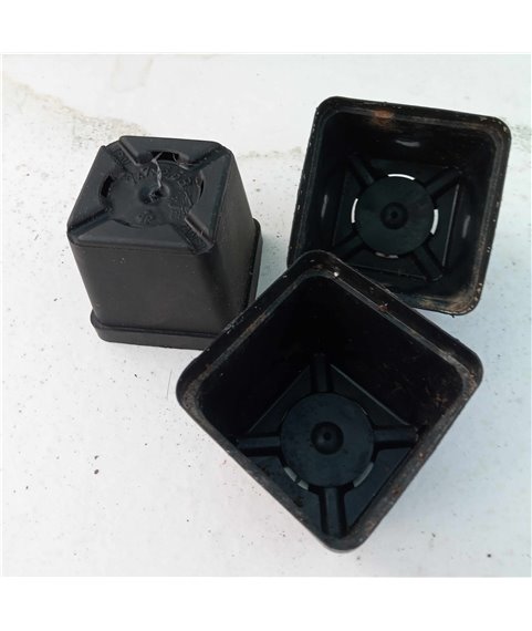 TEKU pot 7x7x6.5cm  (Pack of 10)