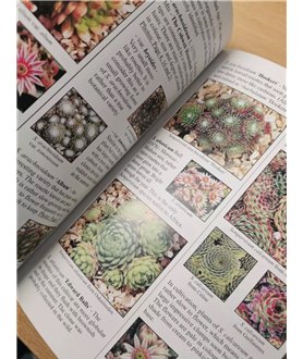 An Introduction to Sempervivum and Jovibarba