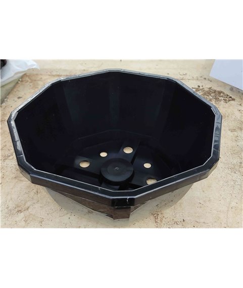 Décor 26cm Cactus bowl Black