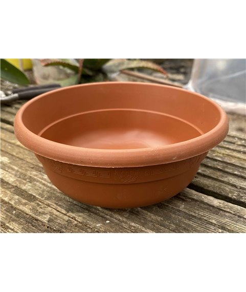 Andromeda 17cm diam bowl