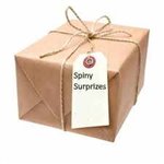 GIFT PACK 6.5cm