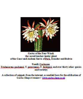 Cactus of the Four Winds FREE Trichocereus Ebook