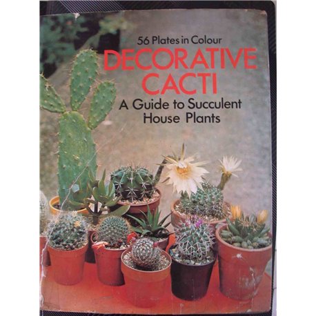 Decorative Cacti: A Guide to Succulent House Plants